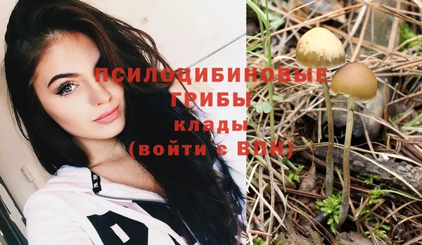 кристаллы Алексин